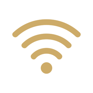 Internet WiFi